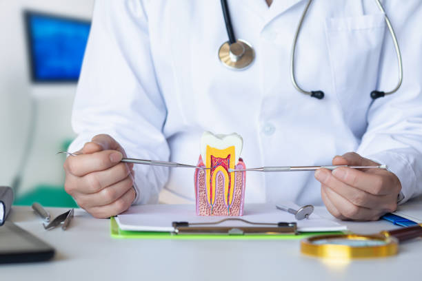 Best Emergency Denture Repair in Cricket, NC